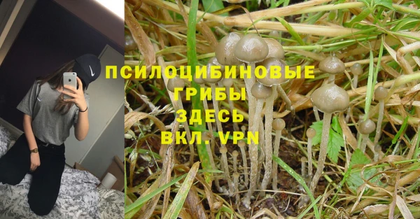 экстази Армянск