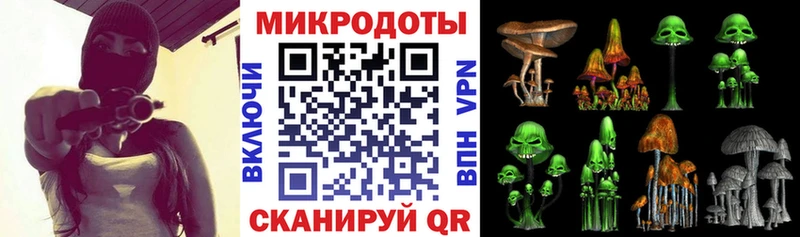 Галлюциногенные грибы Psilocybe  где найти наркотики  Суворов 